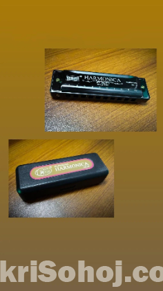 An Outstanding Diatonic Harmonica for sale